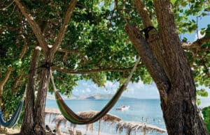 89462189e7fe636d80781d40eb529862.jpg 图片2.jpg