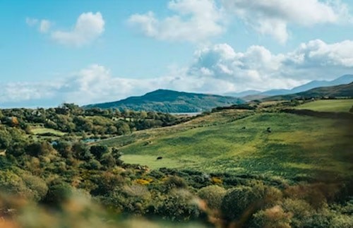 爱尔兰的招聘机构