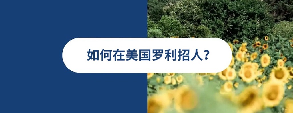 2026 年美国罗利雇佣指南